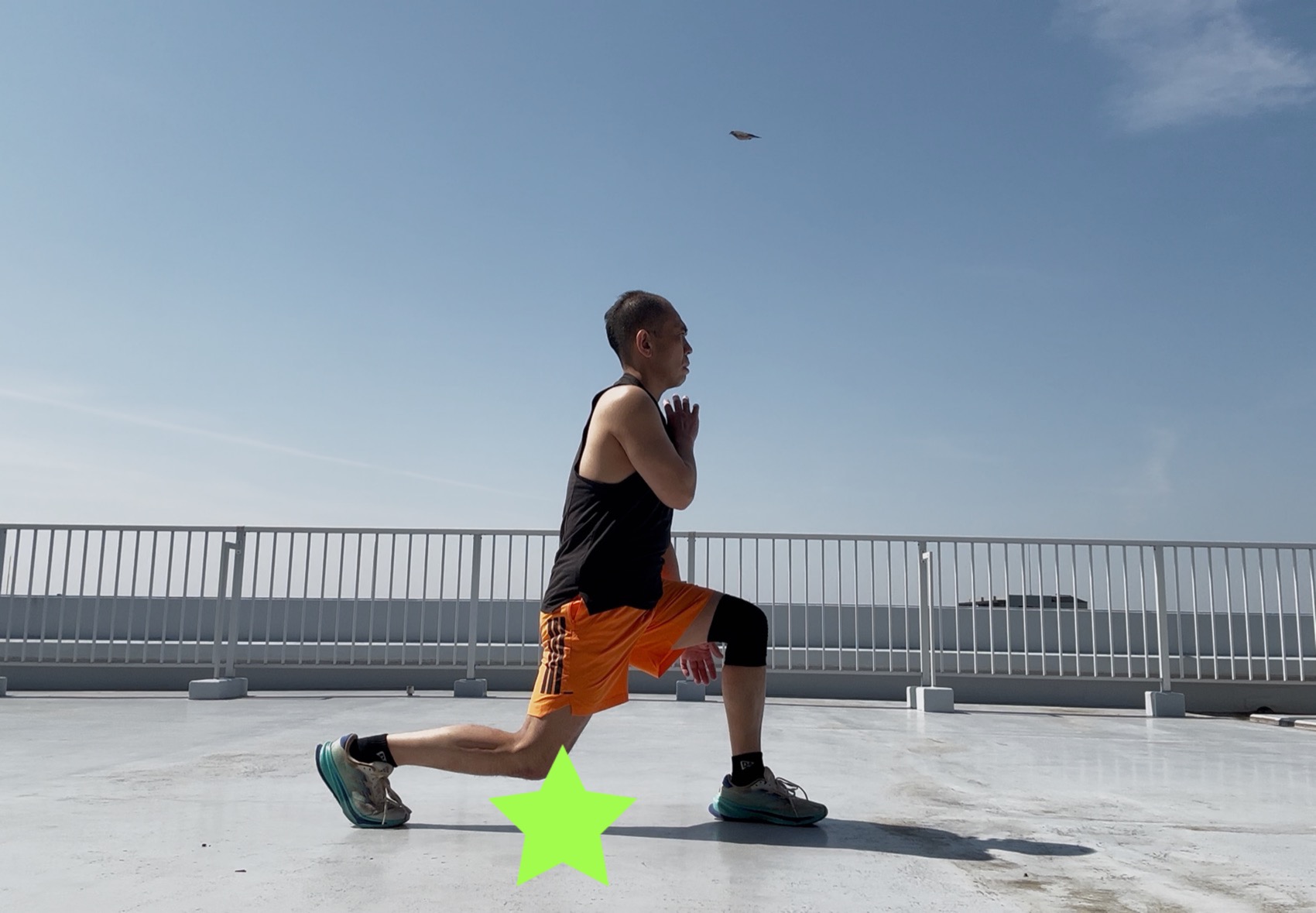 �{�f�B�R���o�b�g106-6,�R���o�b�g3,�R���I,�e�N�j�b�N,�|�C���g